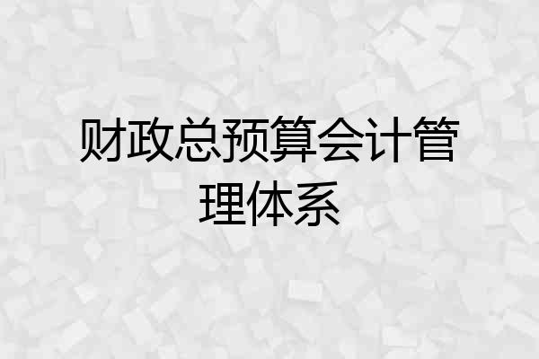 财政总预算会计管理体系