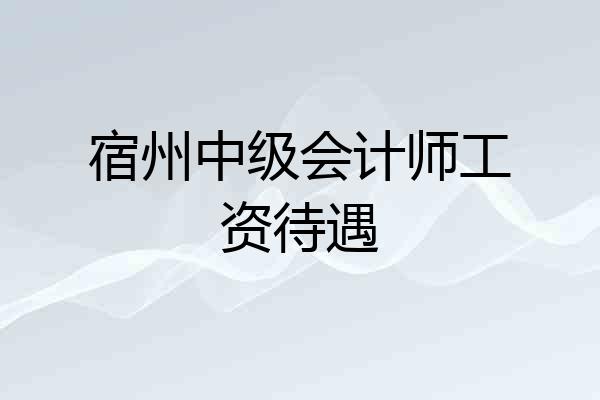 宿州中级会计师工资待遇