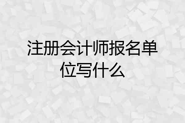 注册会计师报名单位写什么