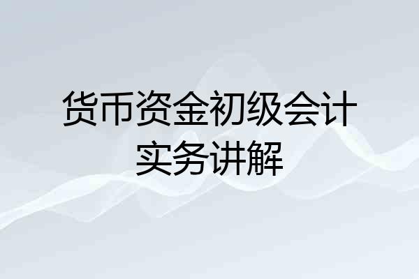 货币资金初级会计实务讲解