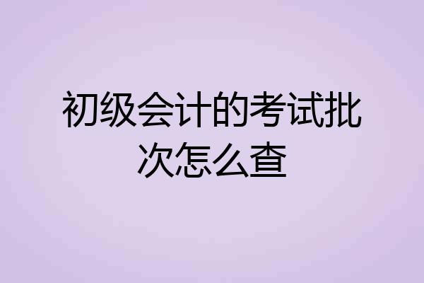 初级会计的考试批次怎么查