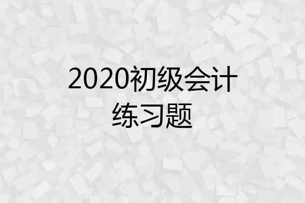 2020初级会计练习题