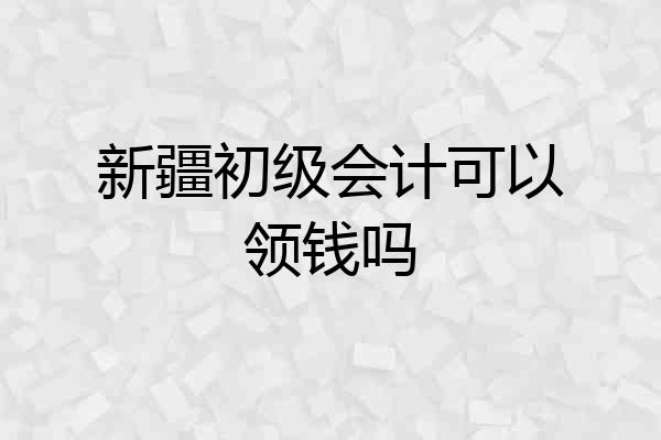 新疆初级会计可以领钱吗