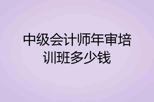中级会计师年审培训班多少钱