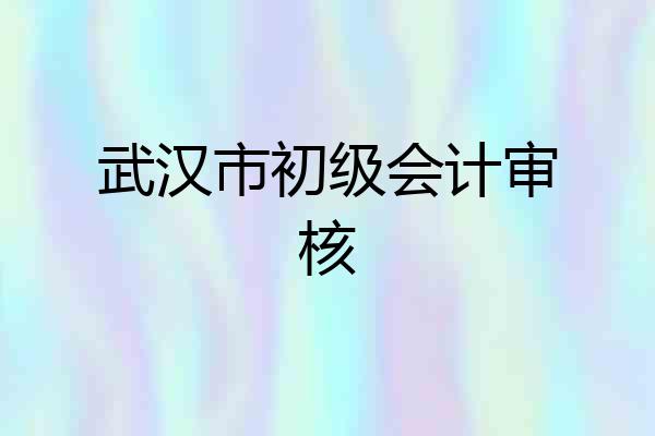 武汉市初级会计审核