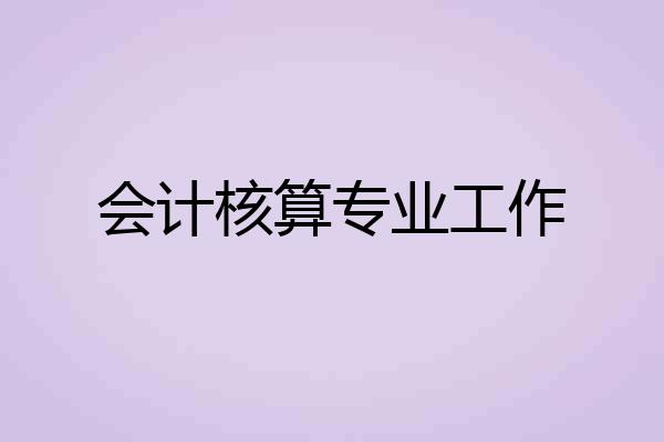 会计核算专业工作