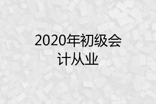 2020年初级会计从业