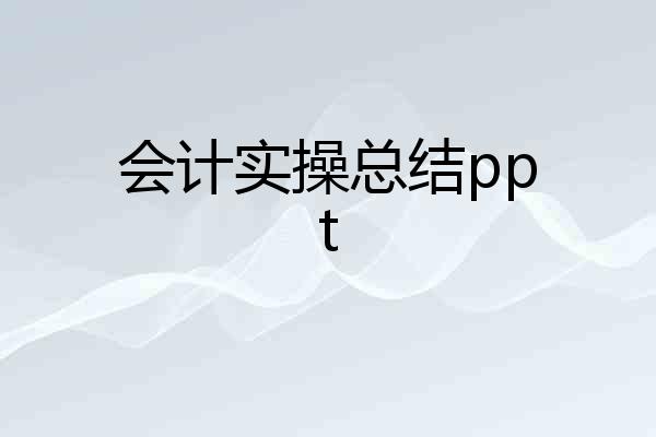 会计实操总结ppt