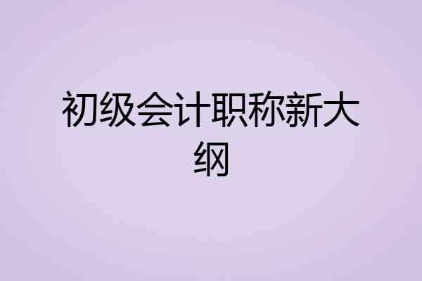 初级会计职称新大纲