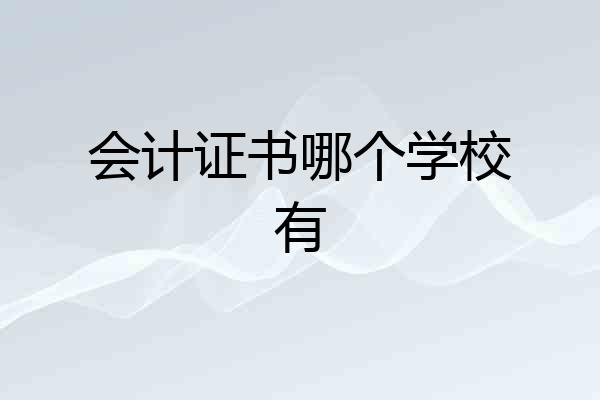 会计证书哪个学校有