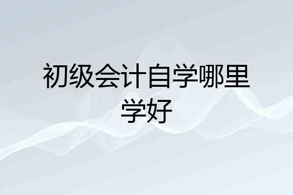 初级会计自学哪里学好