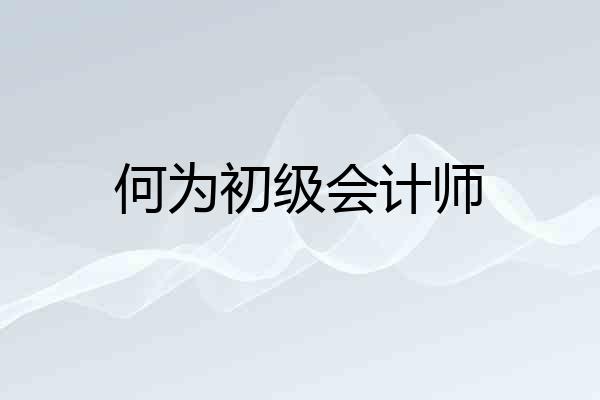 何为初级会计师
