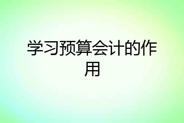 学习预算会计的作用