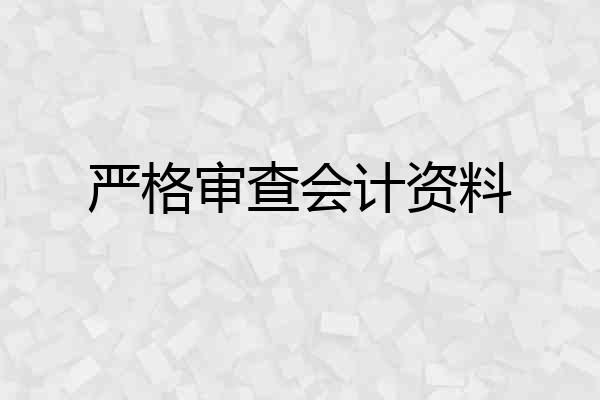 严格审查会计资料