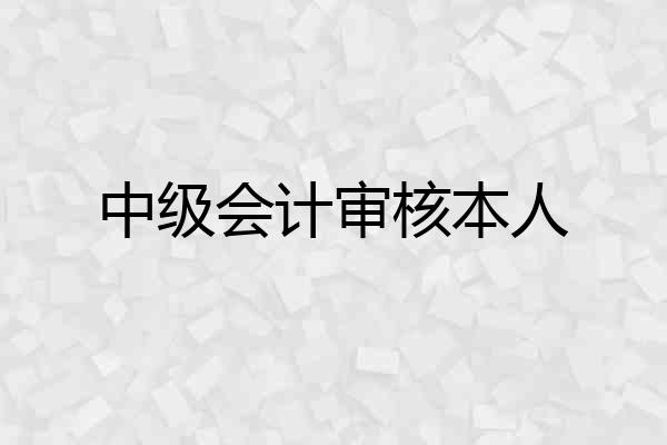 中级会计审核本人