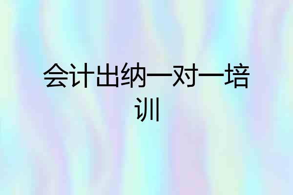 会计出纳一对一培训
