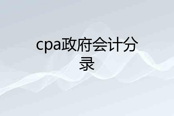 cpa政府会计分录