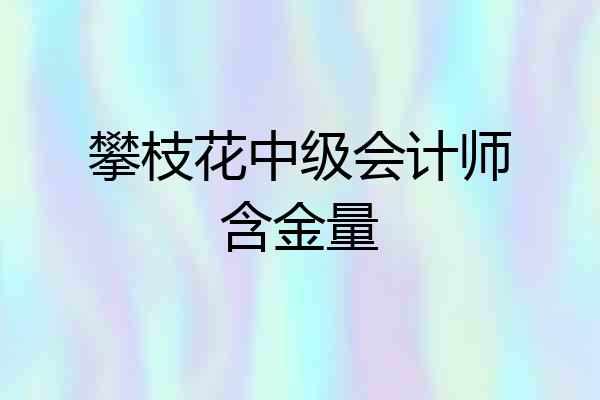 攀枝花中级会计师含金量