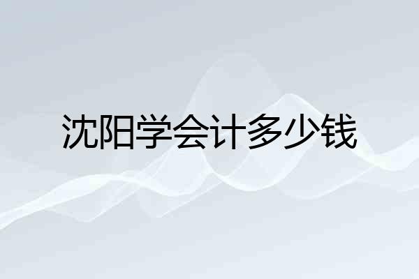 沈阳学会计多少钱