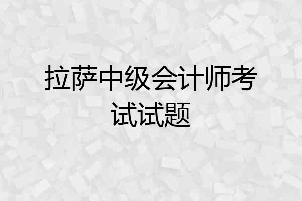 拉萨中级会计师考试试题