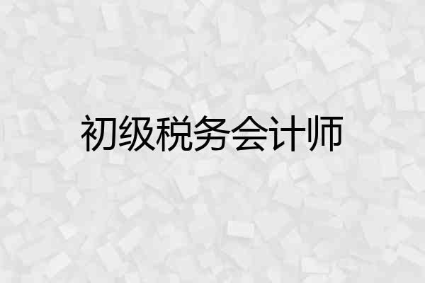 初级税务会计师