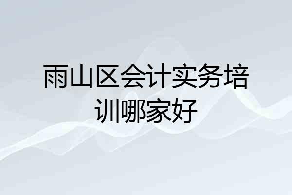 雨山区会计实务培训哪家好