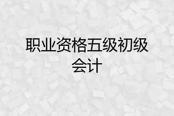 职业资格五级初级会计