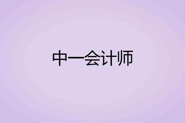 中一会计师