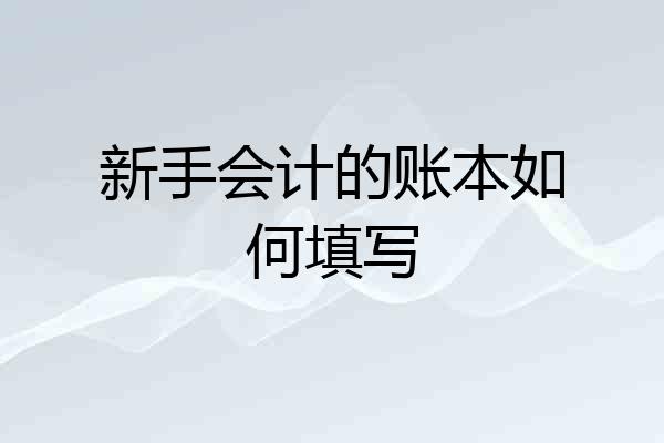 新手会计的账本如何填写