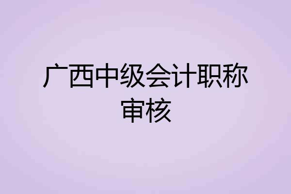 广西中级会计职称审核