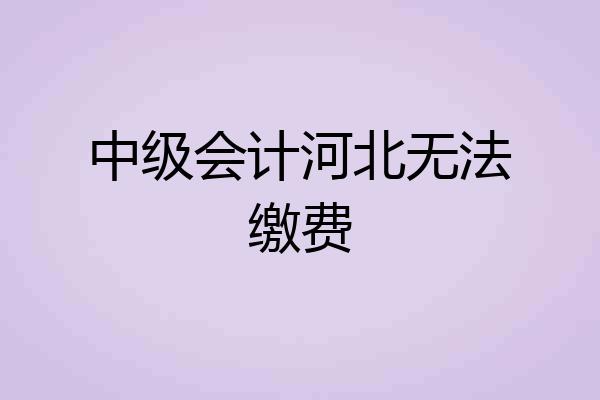 中级会计河北无法缴费