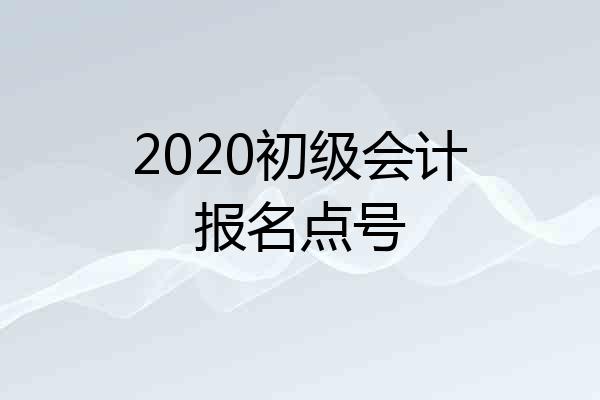 2020初级会计报名点号