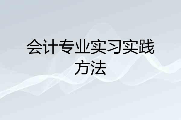 会计专业实习实践方法
