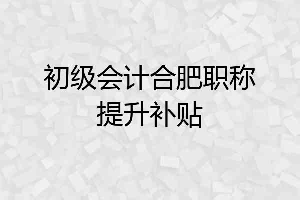 初级会计合肥职称提升补贴