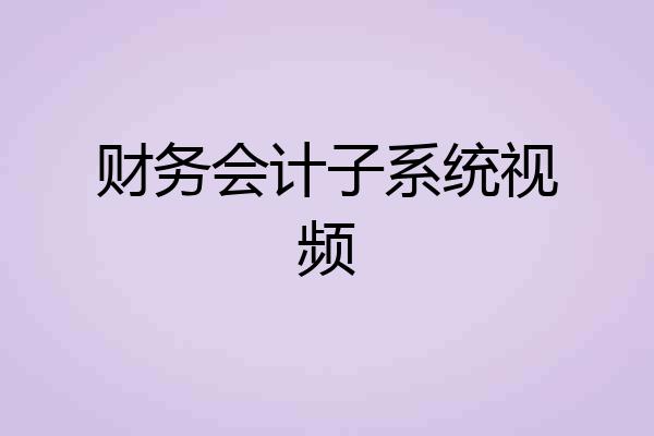 财务会计子系统视频