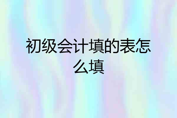 初级会计填的表怎么填