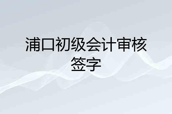 浦口初级会计审核签字