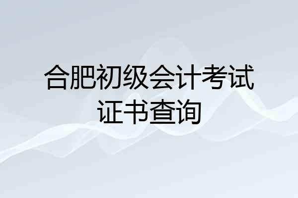 合肥初级会计考试证书查询