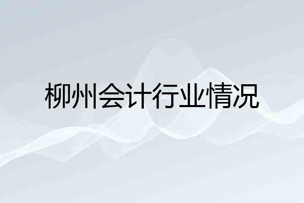 柳州会计行业情况