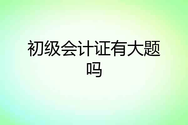 初级会计证有大题吗