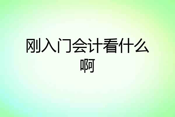 刚入门会计看什么啊