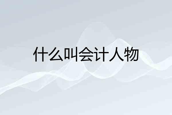 什么叫会计人物