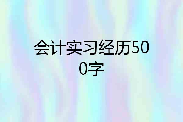 会计实习经历500字