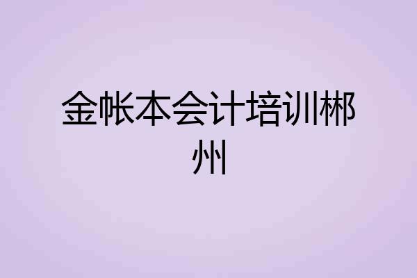 金帐本会计培训郴州