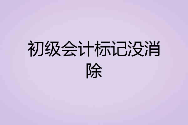 初级会计标记没消除