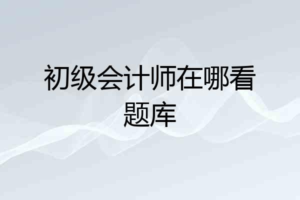 初级会计师在哪看题库
