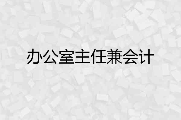 办公室主任兼会计