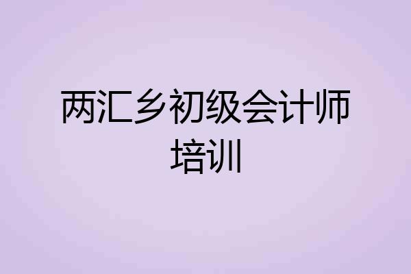 两汇乡初级会计师培训
