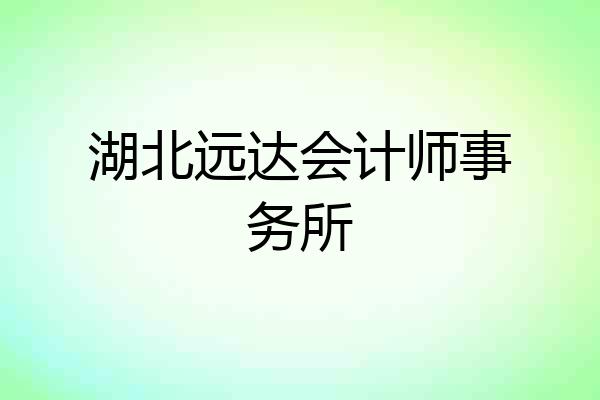 湖北远达会计师事务所