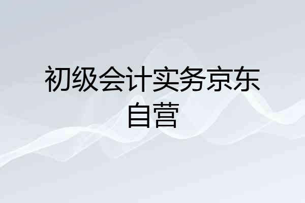 初级会计实务京东自营